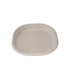 6-Inch Square Bagasse Brown Plate – Eco-Friendly & Durable Tableware